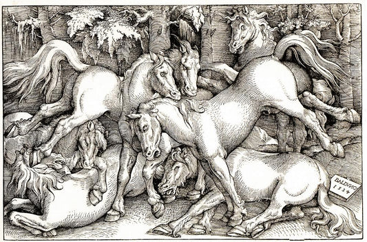Wild Horses Fighting, vintage artwork by Hans Baldung, A3 (16x12") Poster Print