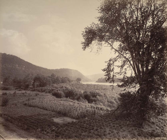 William H. Rau - Picturesque Susquehanna near Laceyville, vintage historic photograph, modern poster print