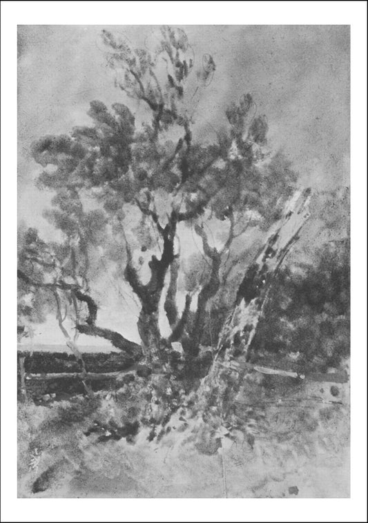 wmt0035i by John Mallord William Turner RA, 12x8"(A4) Poster