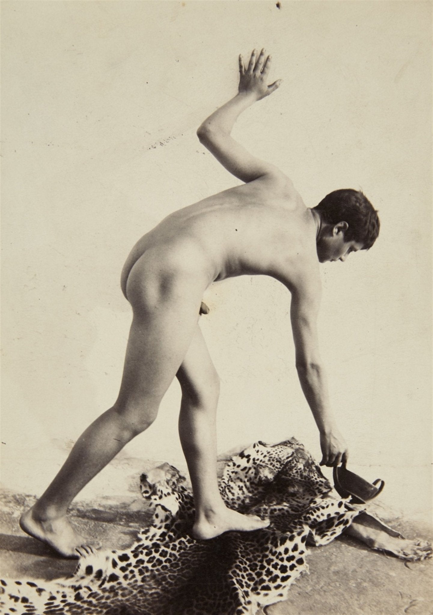 youth tiger skin by Wilhelm von Gloeden, histoic photo, 12x8" (a4) Poster Print