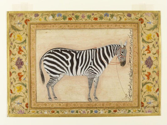 Zebra by Ustad Mansur, vintage art, modern poster print